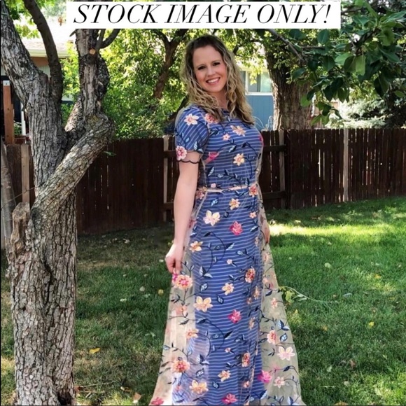 Size XS Deanne II sheer embroidered overlay dress - Picture 6 of 6